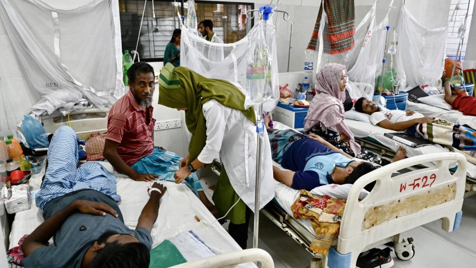 ডেঙ্গুতে ৫ জনের মৃত্যু, হাসপাতালে ভর্তি ৬৩৬